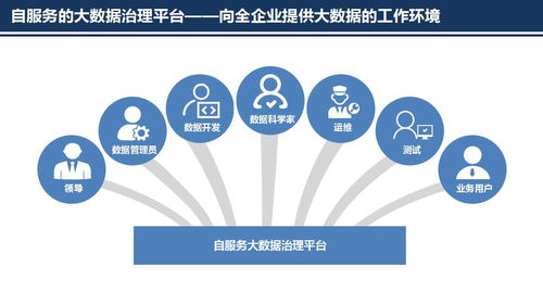 普元信息王轩 第二届数据标准化及治理大会洞察——以自动化为核心的大数据治理新趋势